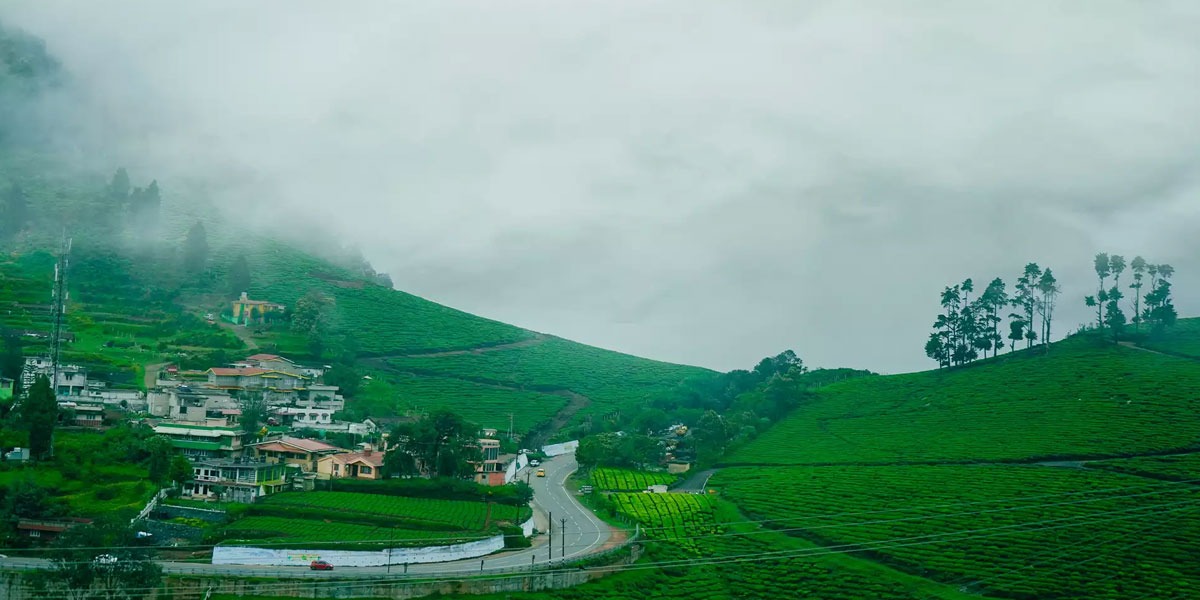 ooty